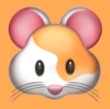 WWW,528se·COM网站APPAPP应用